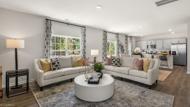 living room featuring dark wood-type flooring