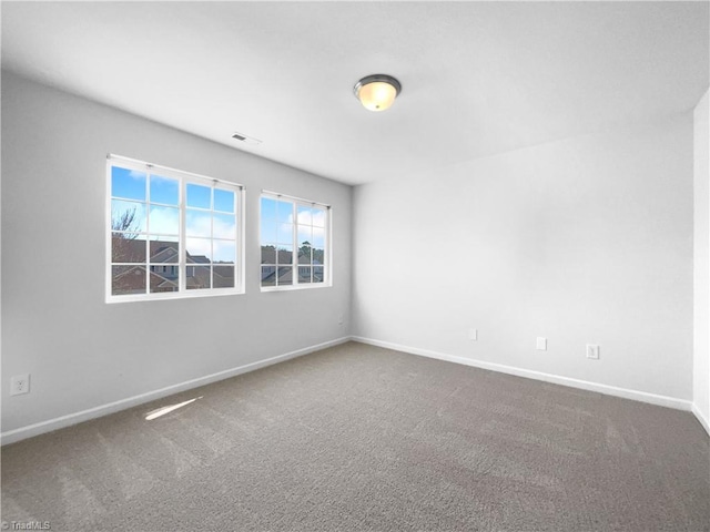 spare room featuring carpet floors