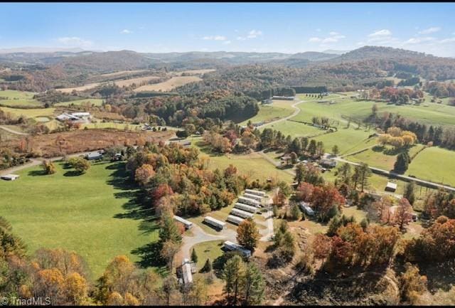 birds eye view of property with a mountain view