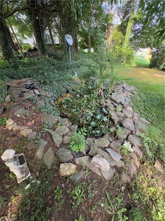 1213 Elmwood Ave, High Point, NC 27265 - view of yard