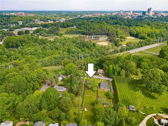 aerial view