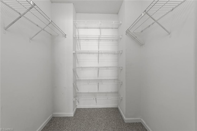 spacious closet with carpet floors