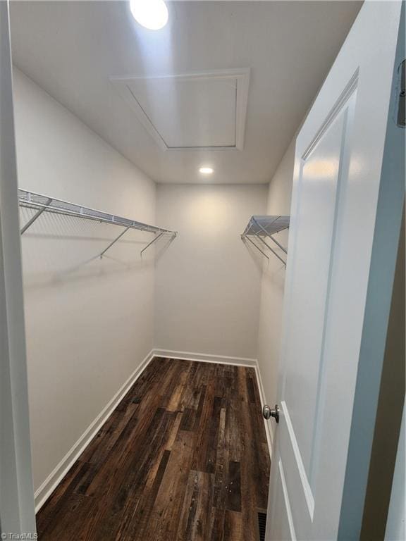 spacious closet with dark wood-type flooring