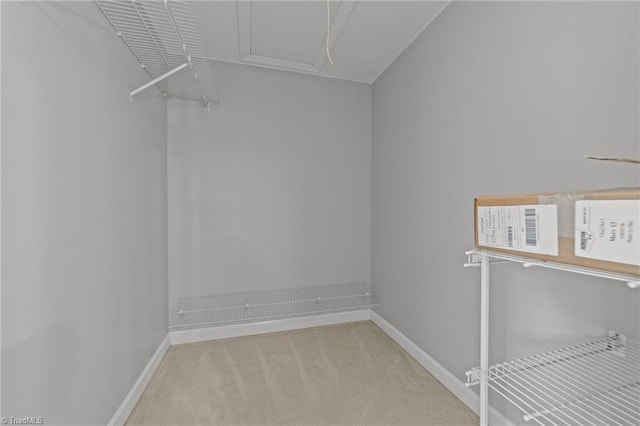 1203 Westminster Dr, Greensboro, NC 27410 - walk in closet with carpet floors