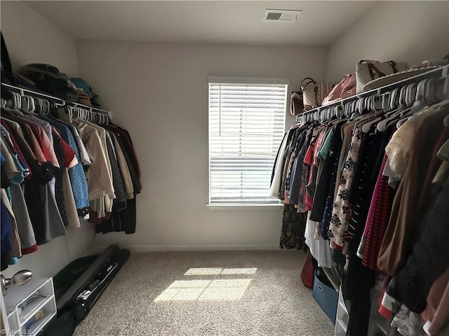 walk in closet featuring carpet flooring and visible vents
