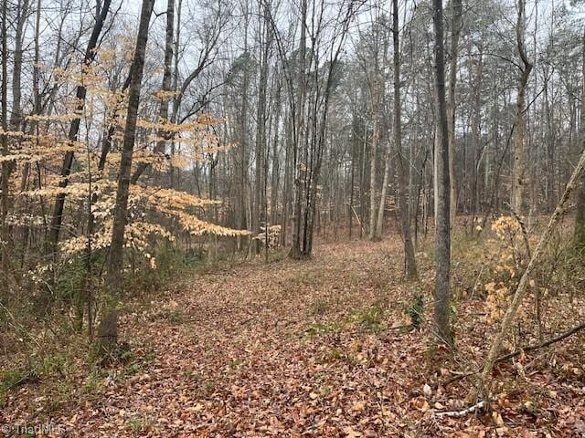 view of nature with a wooded view