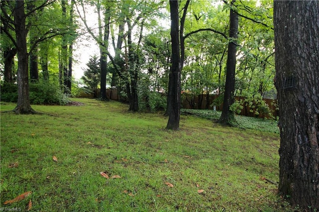 39 Fountain Manor Dr Unit A, Greensboro, NC 27405 - view of yard