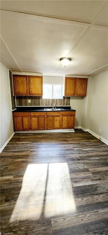 kitchen with dark hardwood / wood-style floors and sink