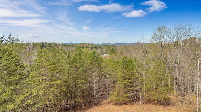 view of nature featuring a view of trees