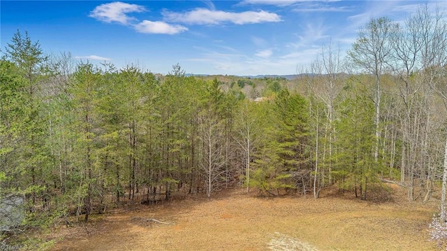 view of local wilderness featuring a forest view