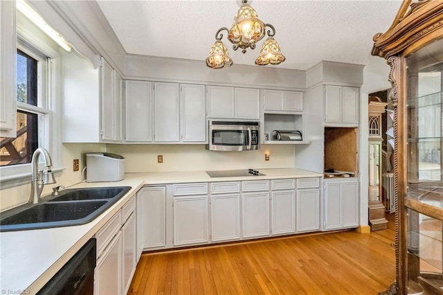 kitchen with light countertops, a sink, white cabinets, black appliances, and light wood-style floors