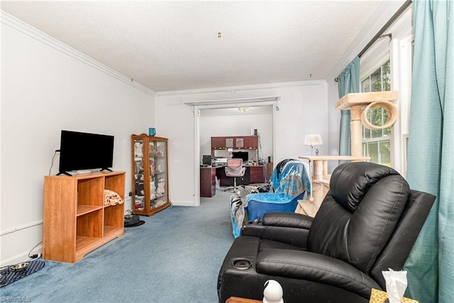 6215 Russwood Dr, Pleasant Garden, NC 27313 - carpeted living room with crown molding and a textured ceiling