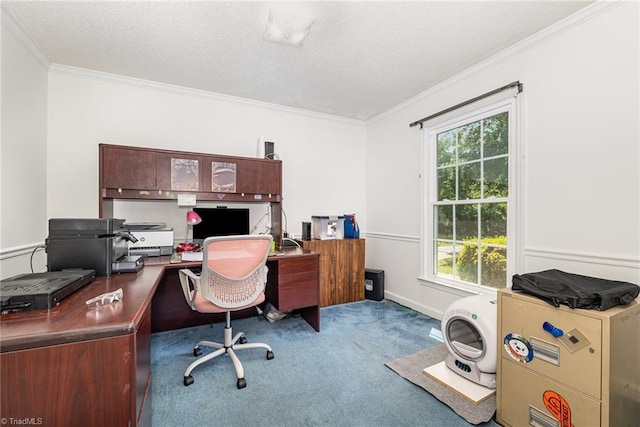 6215 Russwood Dr, Pleasant Garden, NC 27313 - office space featuring carpet flooring, ornamental molding, and a textured ceiling