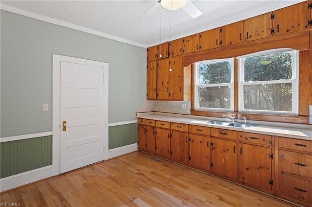 kitchen with ceiling fan, crown molding, sink, light hardwood / wood-style flooring, and wood walls