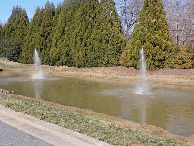 view of water feature