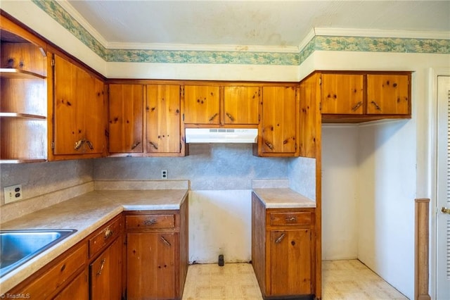 kitchen featuring crown molding and sink