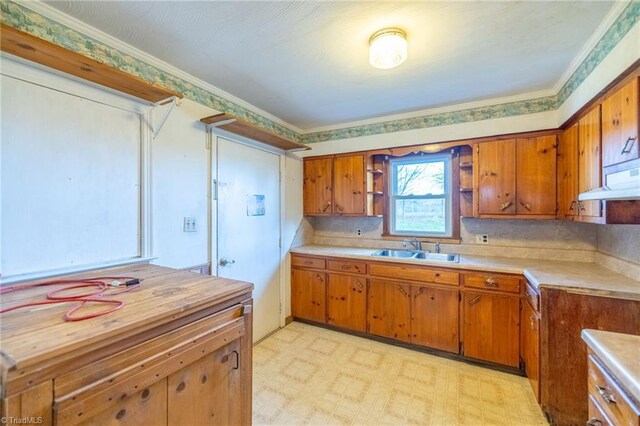 kitchen featuring ventilation hood, ornamental molding, and sink