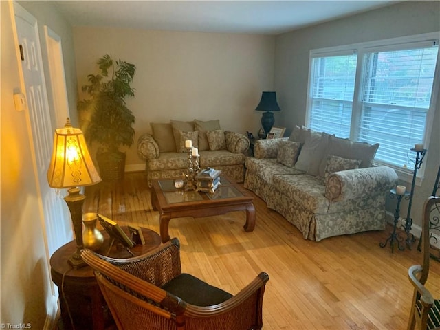 living room featuring wood-type flooring