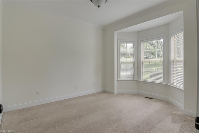 3001 Walbrook Ter, Browns Summit, NC 27214 - unfurnished room with light carpet, crown molding, and baseboards