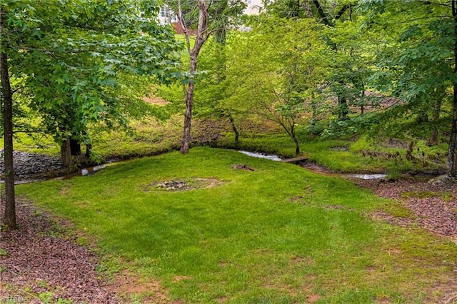 3001 Walbrook Ter, Browns Summit, NC 27214 - view of grassy yard featuring a wooded view