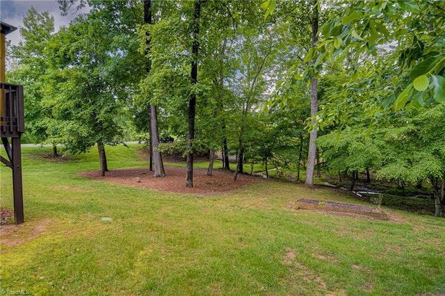 3001 Walbrook Ter, Browns Summit, NC 27214 - view of green lawn