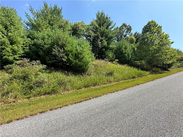 Listing photo 2 for LOT27E Cascade Run, Purlear NC 28665