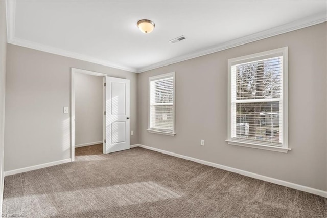 empty room featuring carpet flooring and crown molding