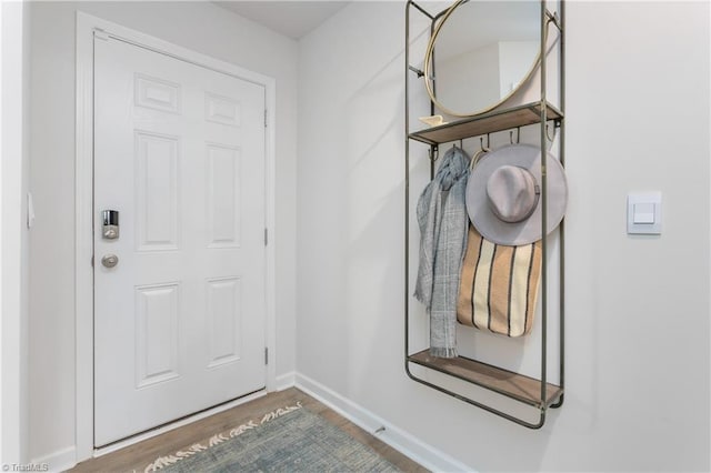 entryway with wood-type flooring