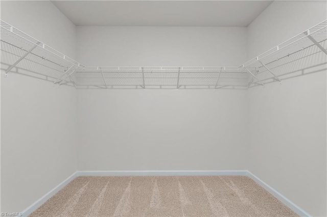 spacious closet with carpet