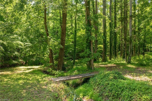 4750 Carlton Dr, Winston-Salem, NC 27105 - view of wooded area