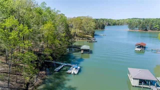 179 Abington Ln, Troutman, NC 28166 - water view featuring a forest and a dock