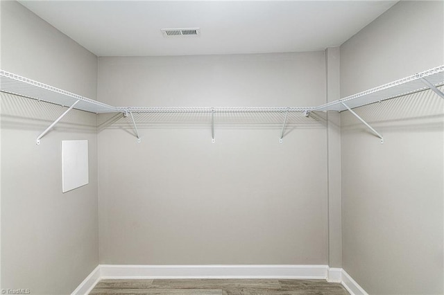 spacious closet featuring wood-type flooring