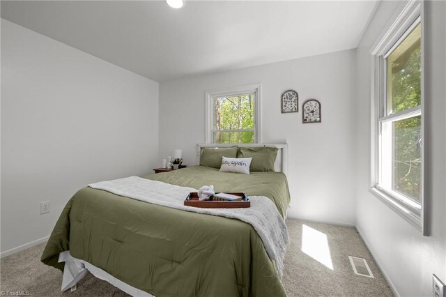 120 King Charles Rd, Hillsborough, NC 27278 - bedroom with baseboards, visible vents, carpet, and multiple windows