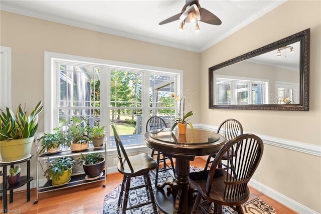 dining area featuring ornamental molding, hardwood / wood-style floors, and ceiling fan