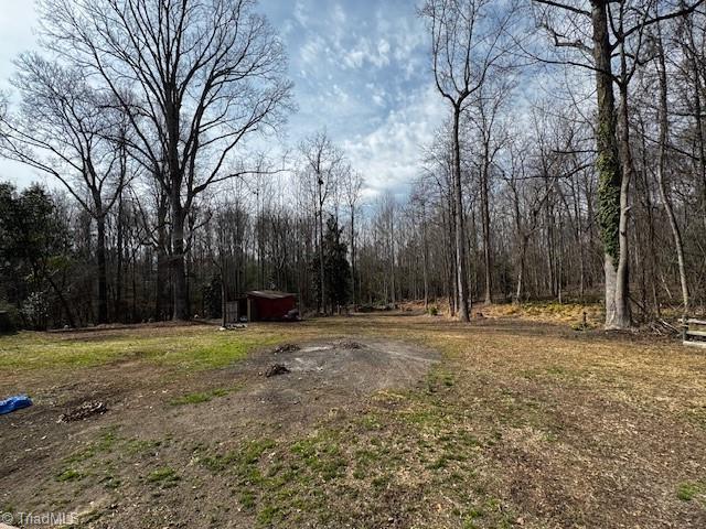 view of yard featuring a wooded view