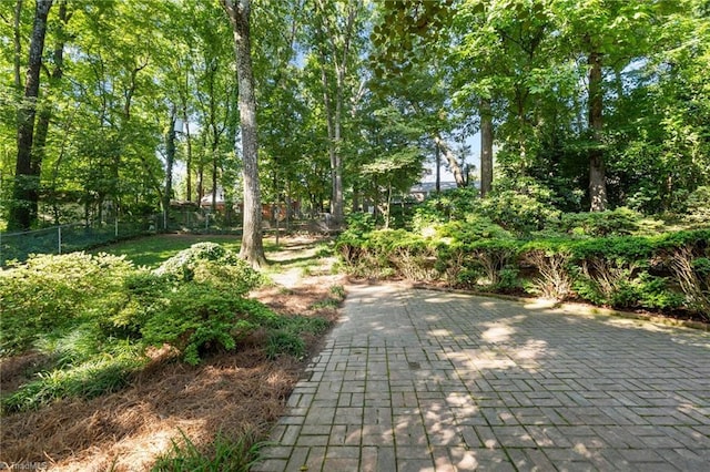 1603 Ilchester Ct, Greensboro, NC 27408 - view of community with a patio
