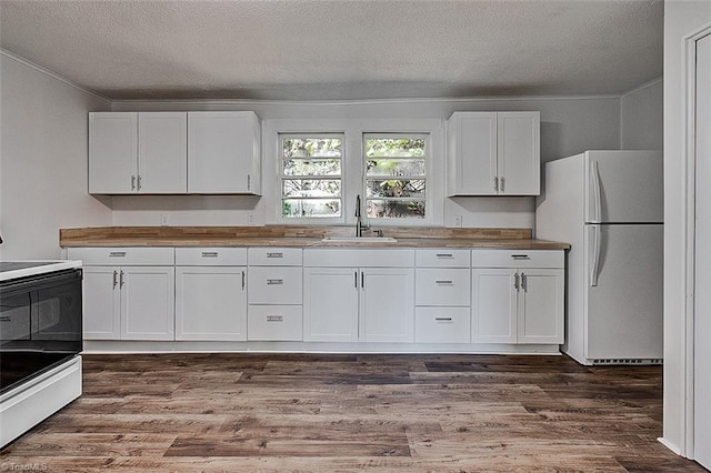 kitchen featuring dark wood-style floors, electric stove, a sink, and freestanding refrigerator