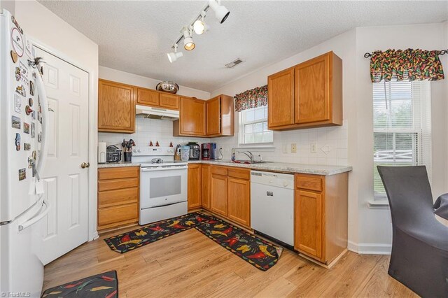 kitchen with light hardwood / wood-style flooring, white appliances, plenty of natural light, and tasteful backsplash