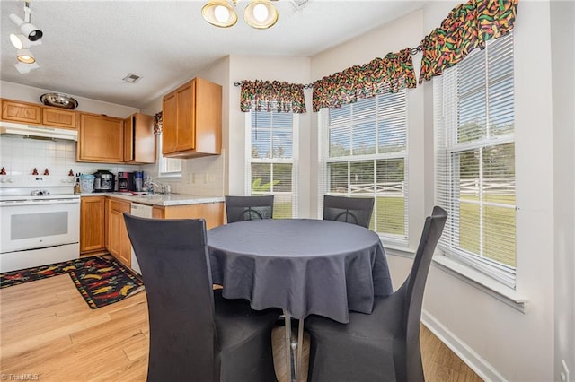 kitchen with light hardwood / wood-style floors, white range with electric cooktop, tasteful backsplash, and a wealth of natural light