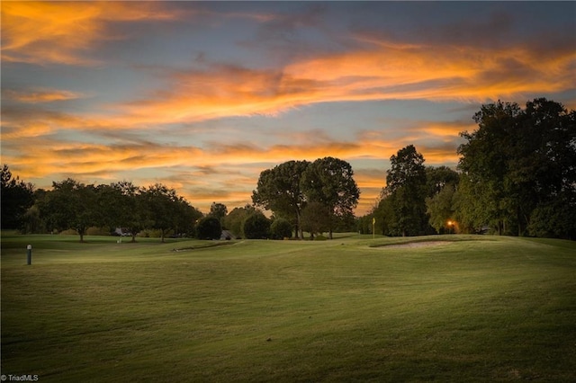 view of community with a lawn