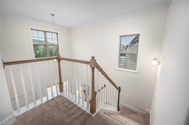 914 Bonanza Ln, Mebane, NC 27302 - staircase featuring crown molding, baseboards, and carpet floors