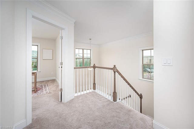 914 Bonanza Ln, Mebane, NC 27302 - hallway with plenty of natural light, an upstairs landing, carpet floors, and ornamental molding