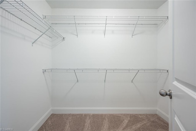 914 Bonanza Ln, Mebane, NC 27302 - spacious closet featuring carpet floors