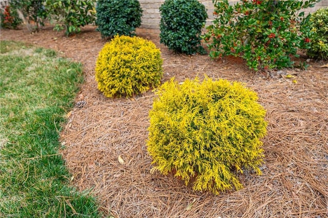 914 Bonanza Ln, Mebane, NC 27302 - view of yard