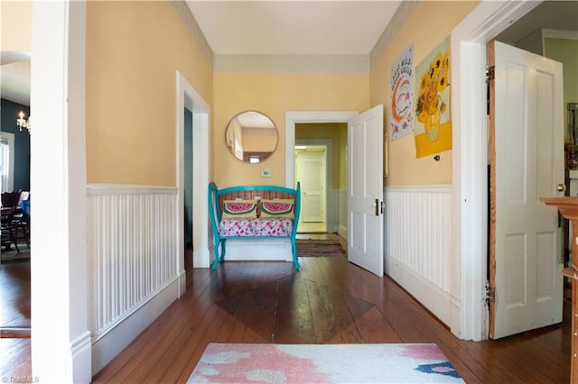 hallway with wainscoting and wood-type flooring