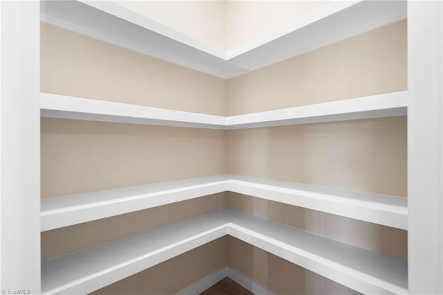view of pantry