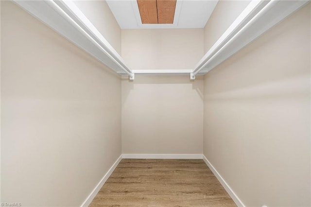 walk in closet featuring wood finished floors