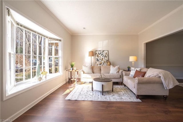 living room featuring dark hardwood / wood-style flooring and crown molding