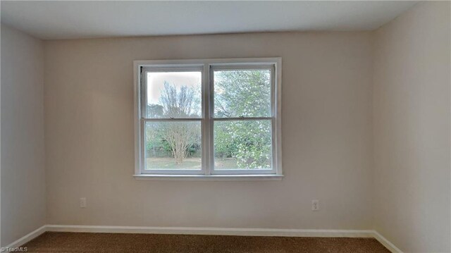 spare room with baseboards and carpet floors