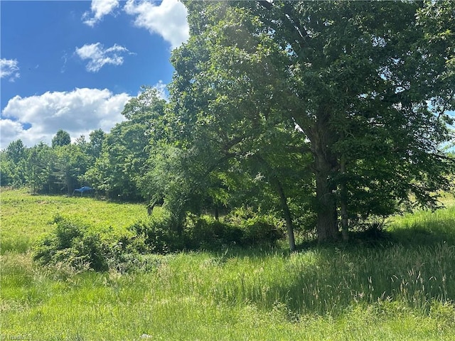 0 Mulberry Academy St, Franklinville NC, 27248 land for sale